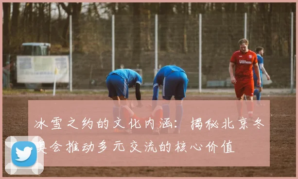 冰雪之约的文化内涵：揭秘北京冬奥会推动多元交流的核心价值